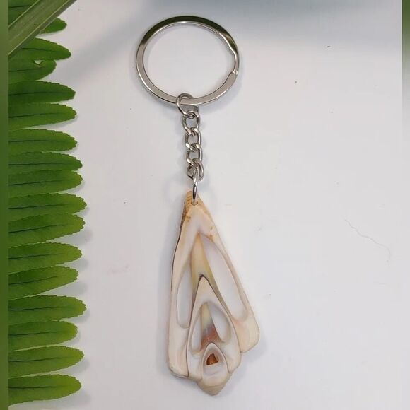 Seashell Keyring Slice Conch Seashell Clearwater Beach, Florida - Picture 7 of 15